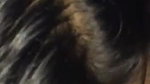 Rupalben Gujarati GF Blowjob – Movies