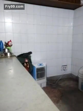 Amritanikhill Cam Model_ Free Live Sex Show
