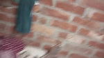 Village bhabhi fucked
