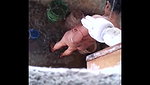 Bhabhi Caught Naked In Bath – Movies