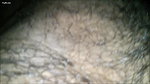 Tamil Wife Jerking Big Cock – Movies