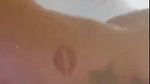 Authenticbella Nude Shower Ass Pussy Selfie Onlyfans Video Leaked