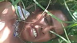 Desi village bhabi fucking on field
