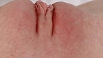 Dainty Wilder Leak (30)
