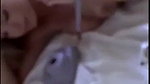 Emma Kotos Nude Lingerie Strip Onlyfans Video Leaked