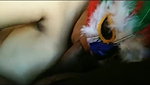 Aparna Bhabhi Blowjob With Mask – Movies