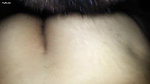 Desi Bhabhi Sucking Big Cock – Movies