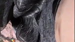 Heidi Lee Bocanegra Pussy Show in Stockings & Heels Video