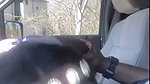 imxdark OnlyFans Leaks (3 Videos) 2