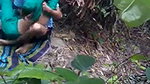 Jungle fucking full 15 min clip