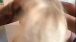 Jessika Gotti Nude Blowjob Porn Video Leaked – OnlyFans
