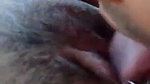 Husband Licking Wife Pussy