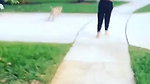 Laureen Pisciotta OnlyFans Leaks 1