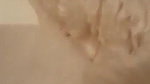 Milf with lover