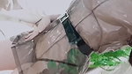 Marina Mui See Through Transparent Outfit Topless Video Leaked – OnlyFans