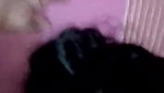 Sucker sucking dick and balls