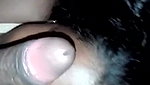 Sucker sucking dick and balls