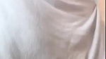 Natalie Roush Nude Out Of The Shower PPV Onlyfans Video Leaked