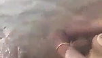 Indian Raand Fuck At Beach – Movies