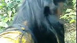 Kanpur Villeage Girl MMS – Movies