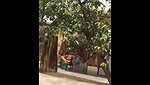 Indian Bhabhi Secret Shower – Movies