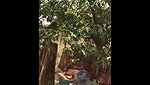 Indian Bhabhi Secret Shower – Movies