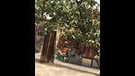 Indian Bhabhi Secret Shower – Movies