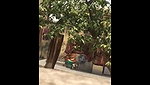 Indian Bhabhi Secret Shower – Movies