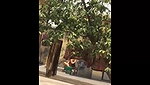 Indian Bhabhi Secret Shower – Movies