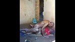 Old Couple Homemade Sex – Movies