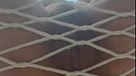 Stormi Maya Nude Close Up Pussy Tease Video Leaked – OnlyFans