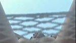 Stormi Maya Nude Close Up Pussy Tease Video Leaked – OnlyFans