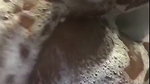 tinktink OnlyFans Leaks (5 Videos) 5
