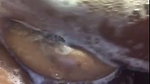 tinktink OnlyFans Leaks (5 Videos) 5