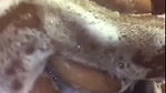 tinktink OnlyFans Leaks (5 Videos) 5