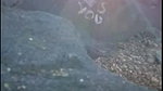 UtahJaz Outdoor Beach Doggy Style OnlyFans Video Leaked