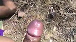 Outdoor fucking