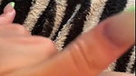 wetKitty – kittiebabyxxx OnlyFans Leaks (3 Videos) 3