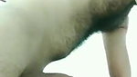 Mouth fucking