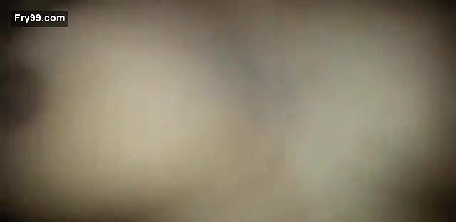 DESI INDIAN BHABHI GIVING BLOWJOB