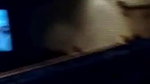 Aunty Showing Inside Theatre