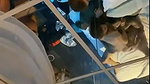 Zoey Luna Threesome Sex Tape Onlyfans Video Leaked