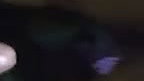 Sexy punjaban mms leaked
