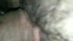 Young girl fucking