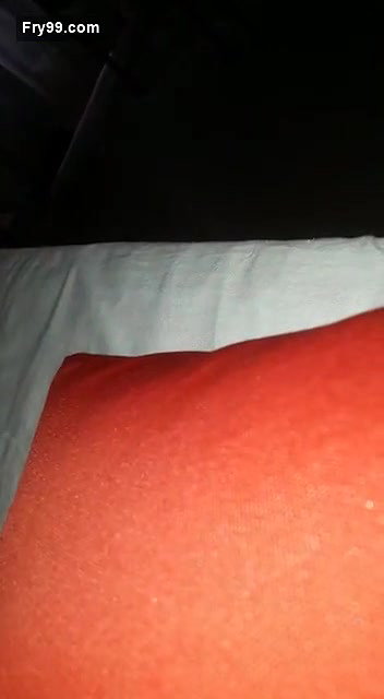 Sexy bhabhi blowjob and handjob