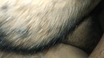 Sex with my stepbrother’s wife when he is at work Meri bhabhi ko chodha