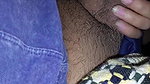 Pakistani Bhabi Giving Satisfying Blowjob To Her Hubby