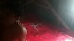 Village Bhabi Fucking Affair With Neighbour