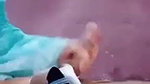 Cute Gf Sucking