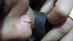 Wife Blowjob